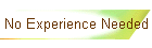 No Experience Needed